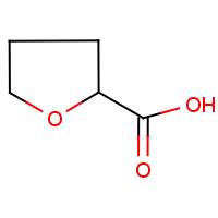 CAS:16874-33-2 | OR10057 | Tetrahydrofuran-2-carboxylic acid