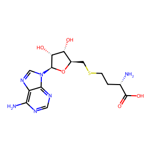CAS: 979-92-0 | OR1014905 | S-Adenosylhomocysteine