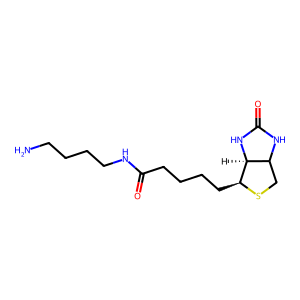 CAS: 151294-96-1 | OR1031122 | Biotin-C4-amide-C5-NH2