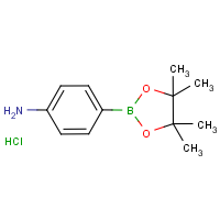CAS:616227-14-6 | OR10341 | 4-Aminobenzeneboronic acid, pinacol ester hydrochloride