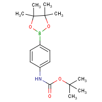 CAS:330793-01-6 | OR10349 | 4-Aminobenzeneboronic acid, pinacol ester, N-BOC protected