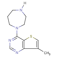 CAS: 874881-21-7 | OR103664 | 7-Methyl-4-homopiperazinothieno[3,2-d]pyrimidine