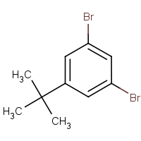 CAS: 129316-09-2 | OR1067 | 5-(tert-Butyl)-1,3-dibromobenzene