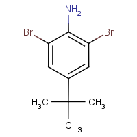 CAS: 10546-67-5 | OR1068 | 4-(tert-Butyl)-2,6-dibromoaniline