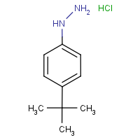 CAS:128231-55-0 | OR10685 | 4-(tert-Butyl)phenylhydrazine hydrochloride