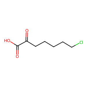 CAS: 874886-74-5 | OR1072769 | 7-Chloro-2-oxoheptanoic acid