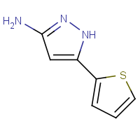 CAS: 96799-03-0 | OR110021 | 5-Thien-2-yl-1H-pyrazol-3-amine