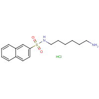 CAS: 35517-14-7 | OR1105T | N-(6-Aminohex-1-yl)naphthalene-2-sulphonamide hydrochloride