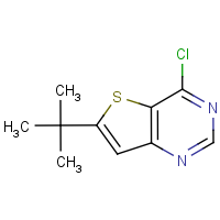 CAS: 439693-52-4 | OR110628 | 6-(tert-Butyl)-4-chlorothieno[3,2-d]pyrimidine