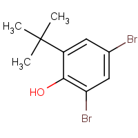 CAS:15460-12-5 | OR110661 | 2,4-Dibromo-6-tert-butylphenol