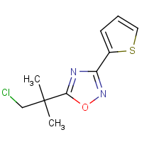 CAS:1427460-38-5 | OR110778 | 5-(1-Chloro-2-methylpropan-2-yl)-3-(thiophen-2-yl)-1,2,4-oxadiazole