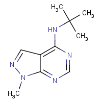 CAS: 869072-45-7 | OR110845 | N-(tert-Butyl)-1-methyl-1H-pyrazolo[3,4-d]pyrimidin-4-amine
