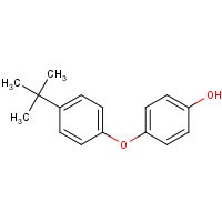 CAS: 39064-93-2 | OR110913 | 4-(4-tert-Butylphenoxy)phenol
