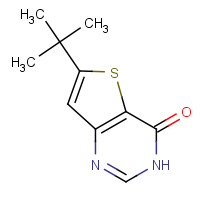 CAS: 215928-65-7 | OR110921 | 6-tert-Butyl-3H-thieno[3,2-d]pyrimidin-4-one