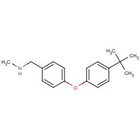 CAS: 1082908-68-6 | OR110978 | N-[4-(4-tert-Butylphenoxy)benzyl]-N-methylamine