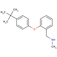 CAS: 1095104-40-7 | OR110979 | N-[2-(4-tert-Butylphenoxy)benzyl]-N-methylamine