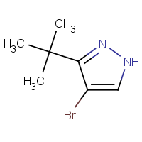 CAS:60061-63-4 | OR111330 | 4-Bromo-3-tert-butyl-1H-pyrazole