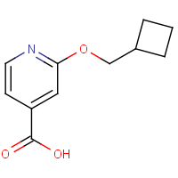 CAS:1235440-03-5 | OR111482 | 2-(Cyclobutylmethoxy)isonicotinic acid
