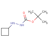 CAS: 959137-72-5 | OR111575 | tert-Butyl 2-cyclobutylhydrazinecarboxylate