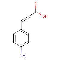 CAS:2393-18-2 | OR11317 | 4-Aminocinnamic acid