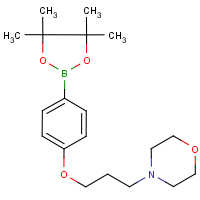CAS:910462-33-8 | OR11457 | 4-(3-Morpholin-4-ylpropoxy)benzeneboronic acid, pinacol ester