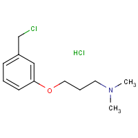 CAS:926921-62-2 | OR12271 | 3-[3-(Dimethylamino)propoxy]benzyl chloride hydrochloride