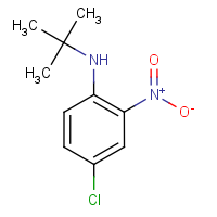 CAS:874780-68-4 | OR1231 | N-tert-Butyl-4-chloro-2-nitroaniline