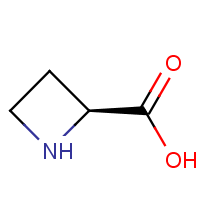 CAS: 2133-34-8 | OR1250T | L-Azetidine-2-carboxylic acid