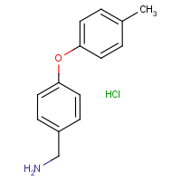 CAS:262862-66-8 | OR12604 | [4-(4-Methylphenoxy)phenyl]methylamine hydrochloride