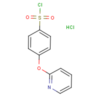 CAS:1170110-04-9 | OR12616 | 4-[(Pyridin-2-yl)oxy]benzenesulphonyl chloride hydrochloride