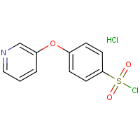CAS:1171901-60-2 | OR12617 | 4-(Pyridin-3-yloxy)phenylsulphonyl chloride hydrochloride