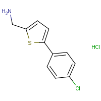 CAS:1166853-02-6 | OR12672 | 2-(Aminomethyl)-5-(4-chlorophenyl)thiophene hydrochloride