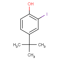 CAS:38941-98-9 | OR12763 | 4-(tert-Butyl)-2-iodophenol