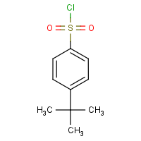 CAS: 15084-51-2 | OR1355 | 4-(tert-Butyl)benzenesulphonyl chloride