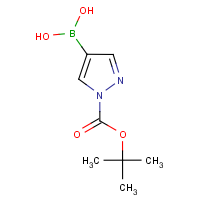 CAS:1188405-87-9 | OR13663 | 1H-Pyrazole-4-boronic acid, N1-BOC protected