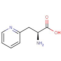 CAS: 37535-51-6 | OR14721 | 3-(Pyridin-2-yl)-L-alanine