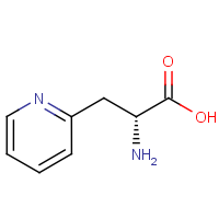 CAS: 37535-52-7 | OR14722 | (2R)-2-Amino-3-(pyridin-2-yl)propanoic acid