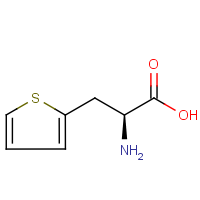 CAS:22951-96-8 | OR14732 | 3-Thien-2-yl-L-alanine