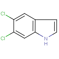 CAS: 121859-57-2 | OR15747 | 5,6-Dichloro-1H-indole