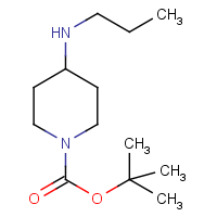 CAS:301225-58-1 | OR16031 | 4-(Prop-1-ylamino)piperidine, N1-BOC protected