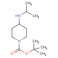 CAS: 534595-51-2 | OR16032 | 4-(Isopropylamino)piperidine, N1-BOC protected