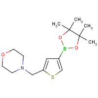 CAS:364794-85-4 | OR16540 | 5-[(Morpholin-4-yl)methyl]thiophene-3-boronic acid, pinacol ester