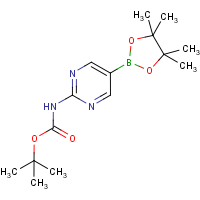 CAS:1032758-88-5 | OR16632 | 2-Aminopyrimidine-5-boronic acid, pinacol ester, 2-BOC protected