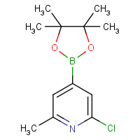 CAS: 697739-22-3 | OR17039 | 2-Chloro-6-methylpyridine-4-boronic acid, pinacol ester