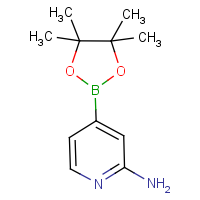 CAS:1195995-72-2 | OR17204 | 2-Aminopyridine-4-boronic acid, pinacol ester