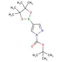 CAS:552846-17-0 | OR17571 | 1H-Pyrazole-4-boronic acid, pinacol ester, N1-BOC protected