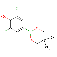 CAS: 1574340-13-8 | OR17946 | 3,5-Dichloro-4-hydroxybenzeneboronic acid, neopentyl glycol ester