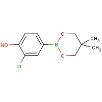 CAS: 2096994-53-3 | OR17947 | 3-Chloro-4-hydroxybenzeneboronic acid, neopentyl glycol ester