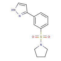 CAS:1019013-03-6 | OR183443 | 3-(3-Pyrrolidin-1-ylsulfonylphenyl)-1H-pyrazole