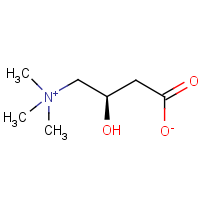 CAS: 541-15-1 | OR18381 | (3R)-(-)-3-Hydroxy-4-(trimethylammonio)butanoate